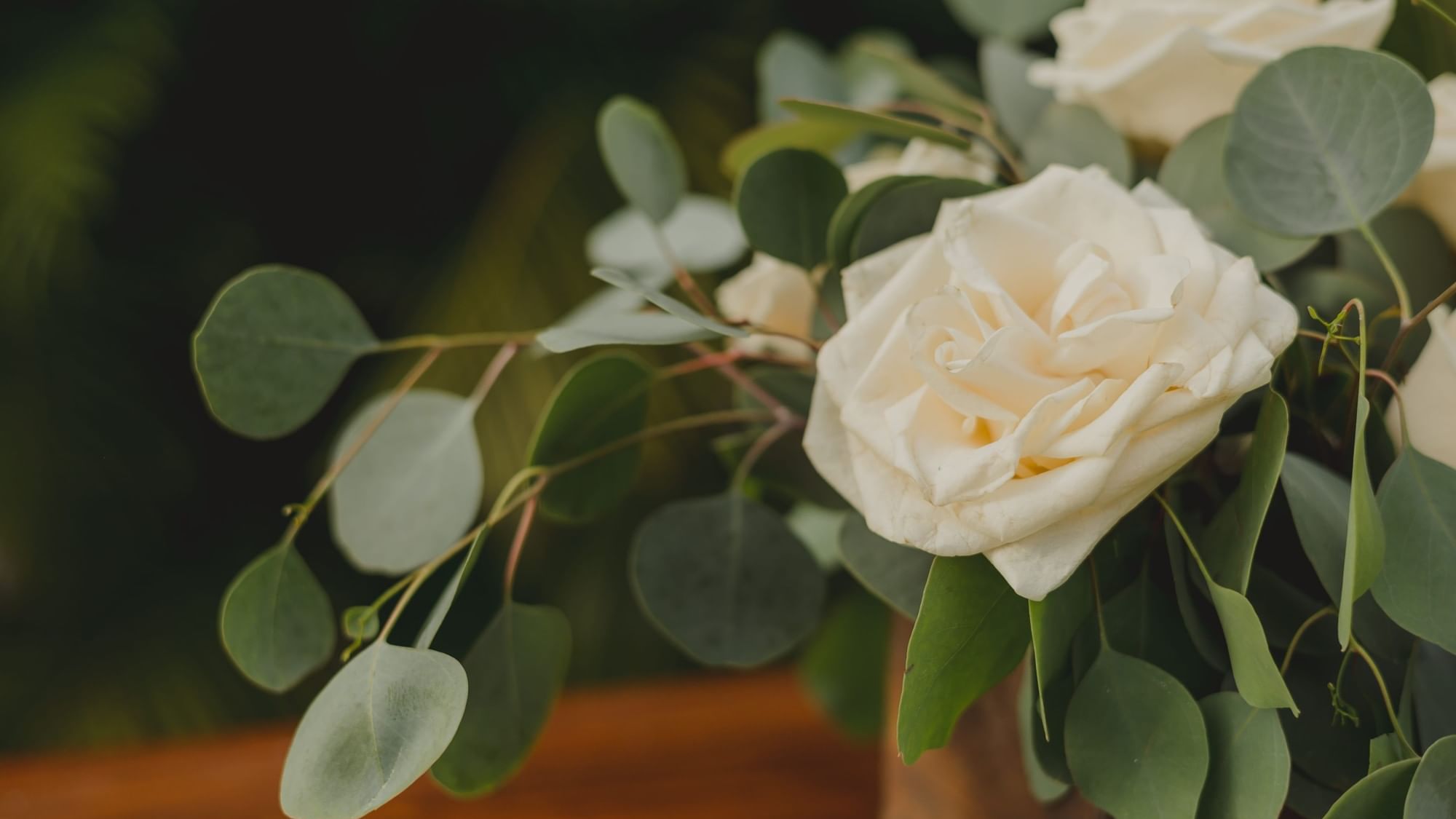 White rose and green eucalyptus in a wooden vase at Riviera Nayarit Resort & Spa.