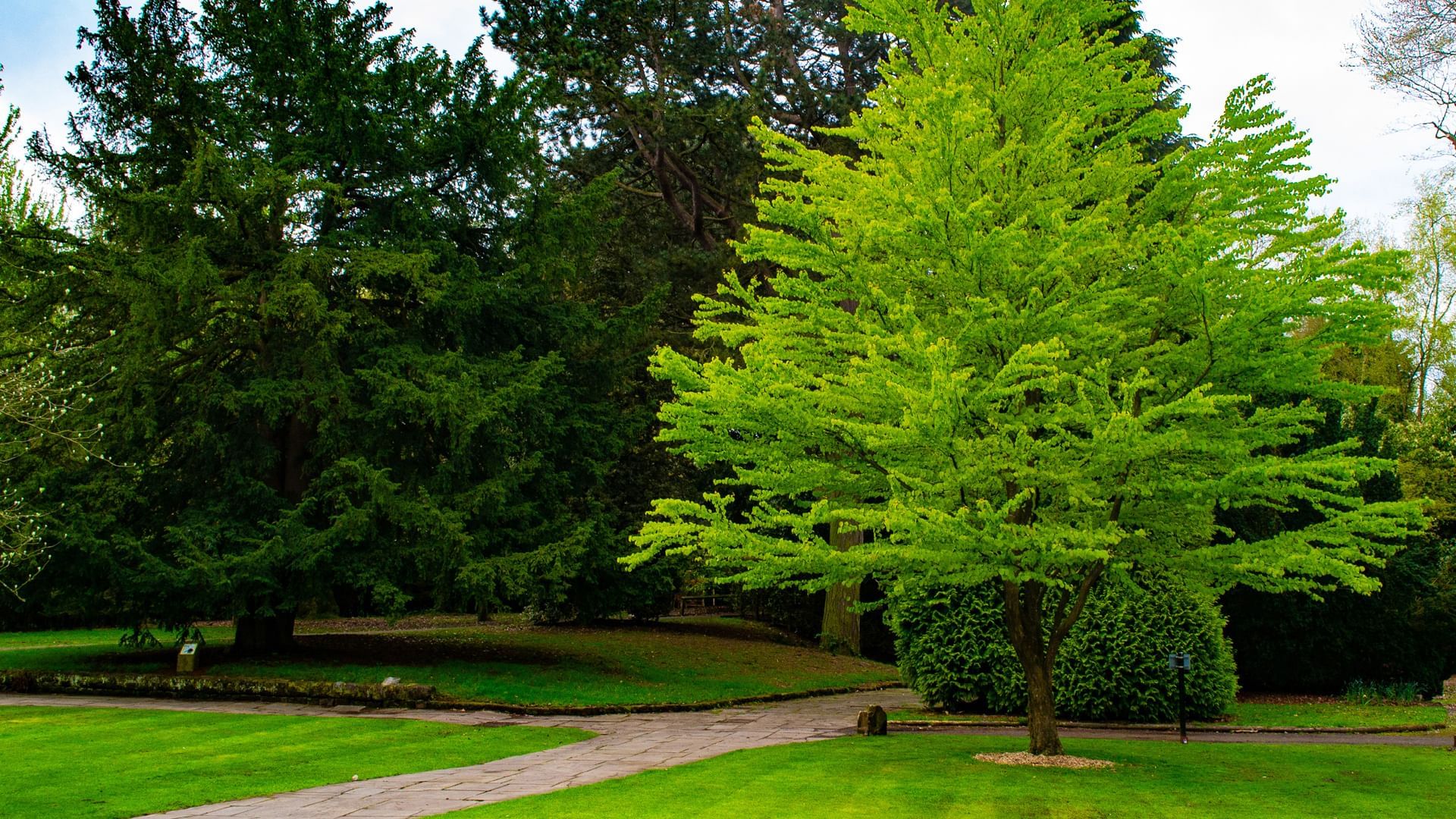 Exterior of Walton Hall garden near Village Hotels Warrington