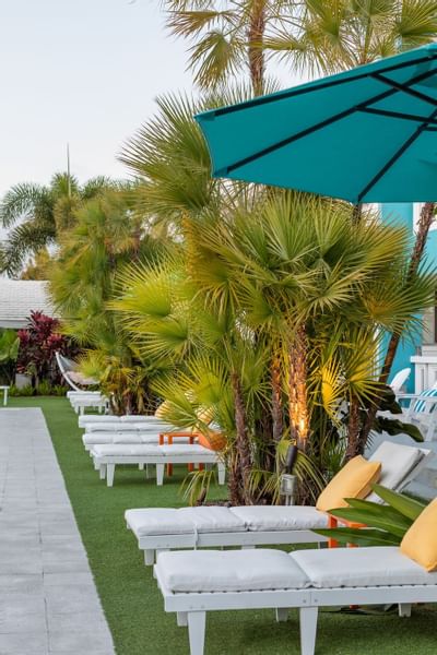 Image of pool side row of chaise lounges with yellow cushions