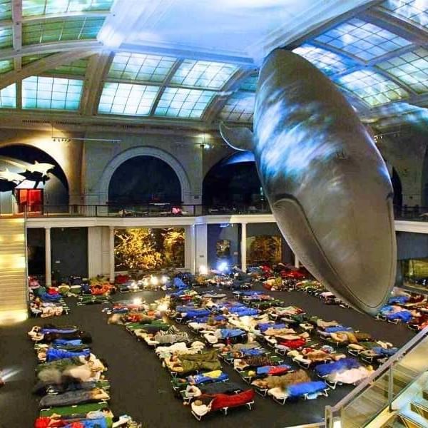 American Museum of Natural History Sleepover NYC