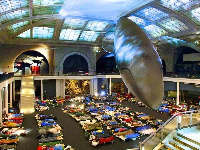 American Museum of Natural History Sleepover NYC