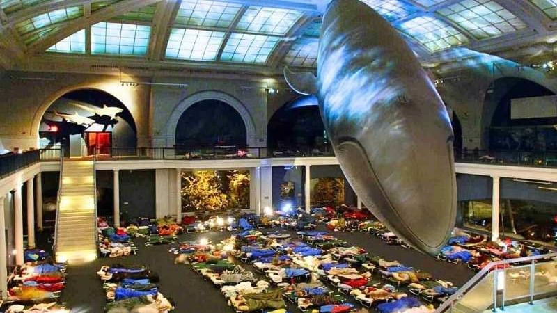 American Museum of Natural History Sleepover NYC 