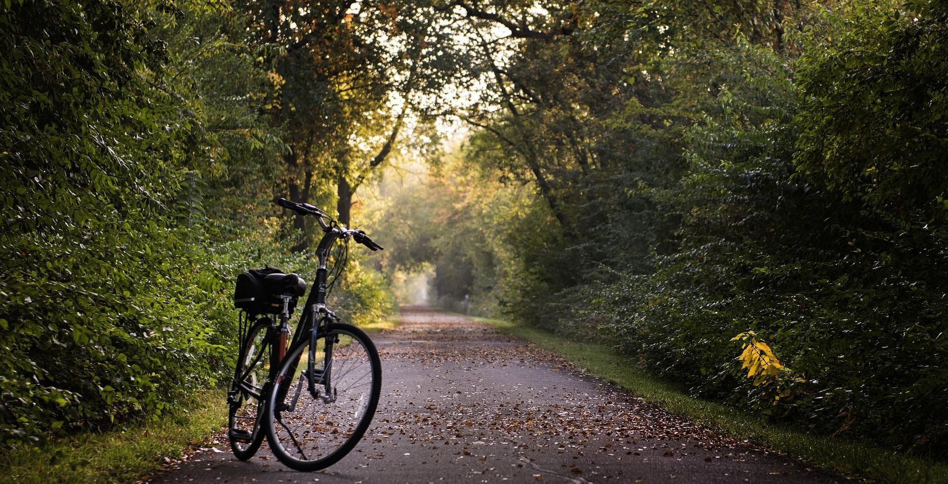 Fahrrad steht im Berliner Tiergarten