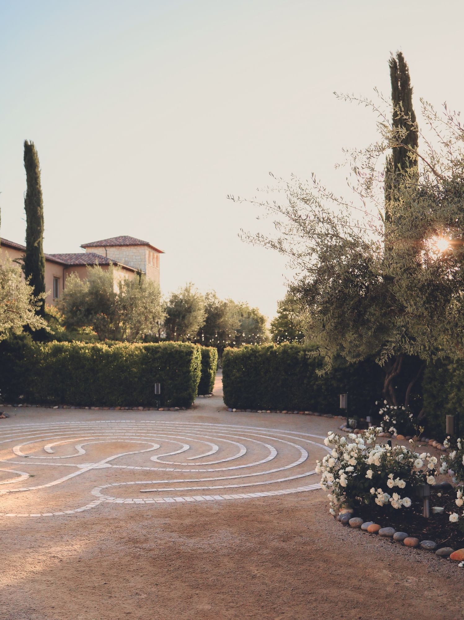 Lorem ipsum Walkway designed with rocks organized in a circular form