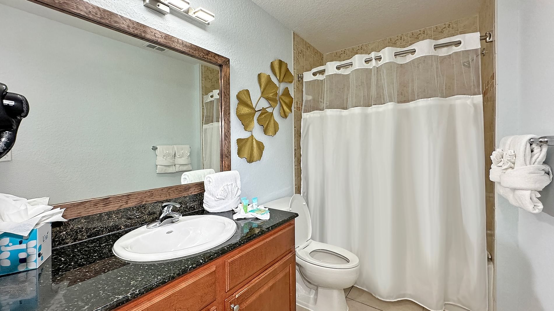 A clean and well-appointed bathroom with a granite countertop, wooden cabinets, and a large mirror.