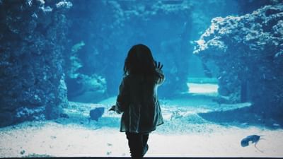 dallas-world-aquarium-activités