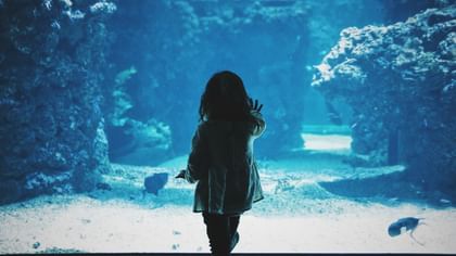 Child silhouette by a large blue aquarium tank under a soft glow in Dallas World Aquarium near Warwick Melrose Dallas