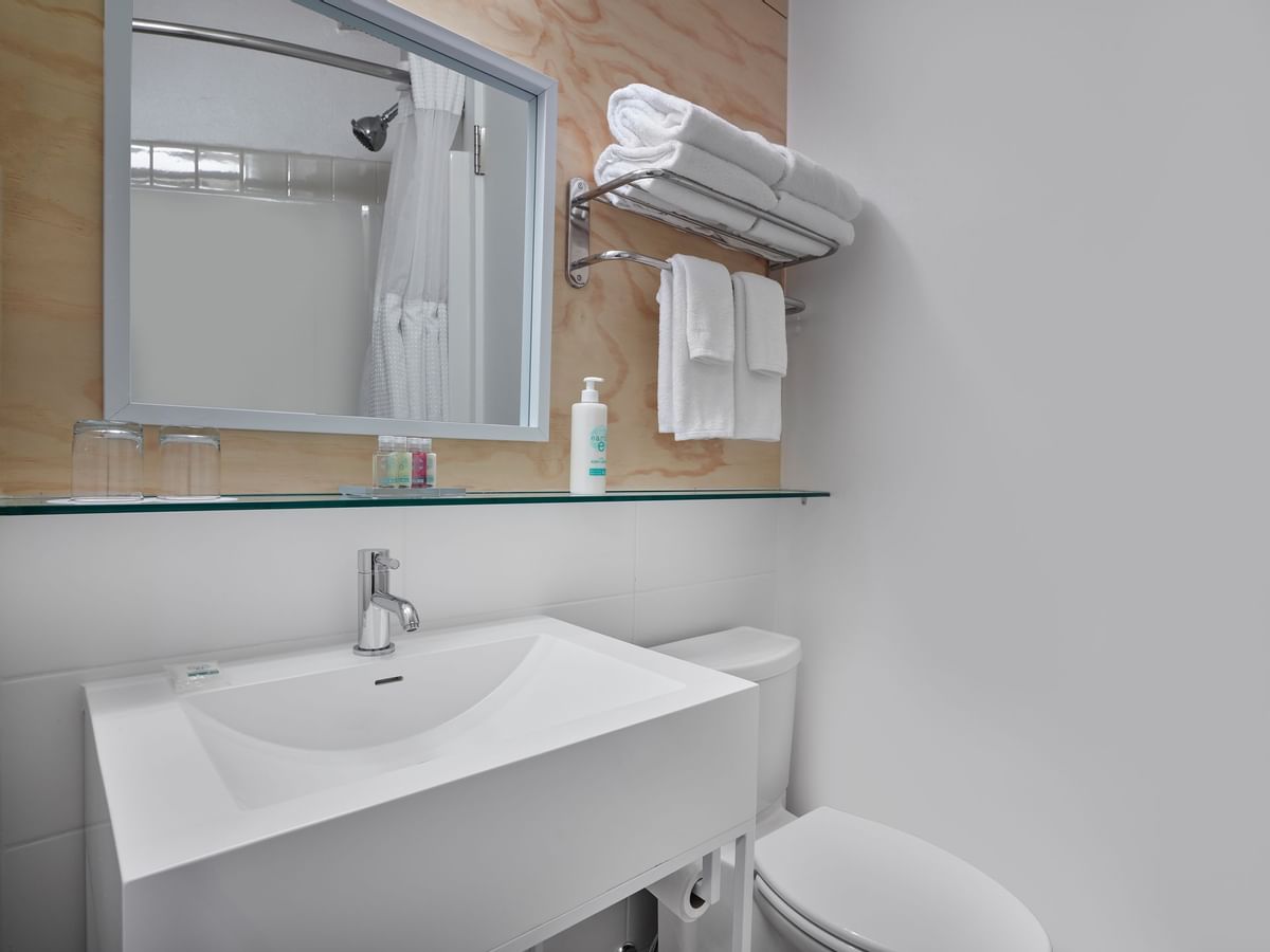 Toilet and sink in bathroom