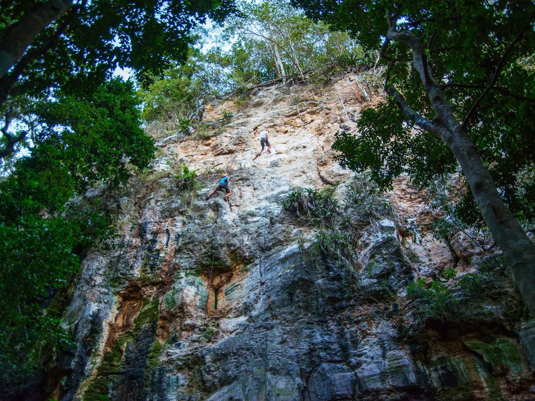 People climbing Diamond Cave Wall near La Colección Resorts
