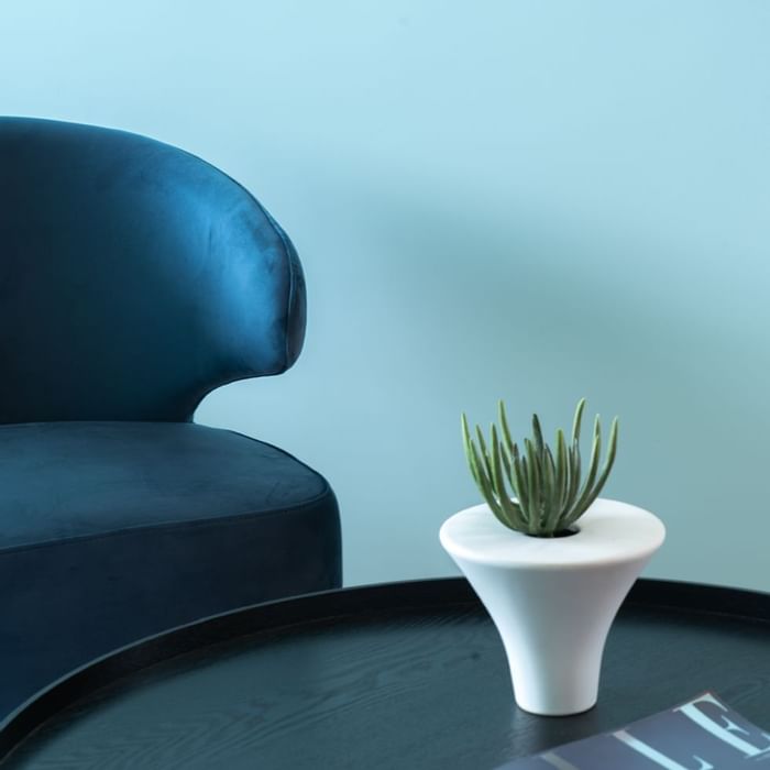 Sofa & a table with a cactus in a lounge, Falkensteiner Hotels