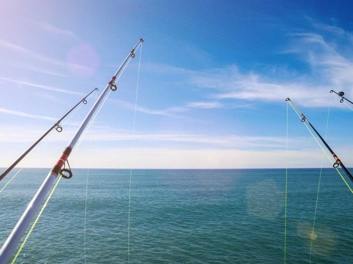 Deep Sea Fishing Activities at Grand Lexis Port Dickson