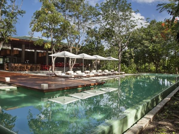 Pool with white cabanas and lounge chairs with shelter of trees