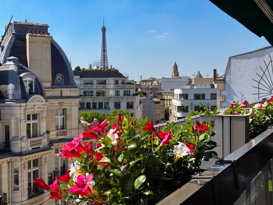 Vue depuis le toit 3