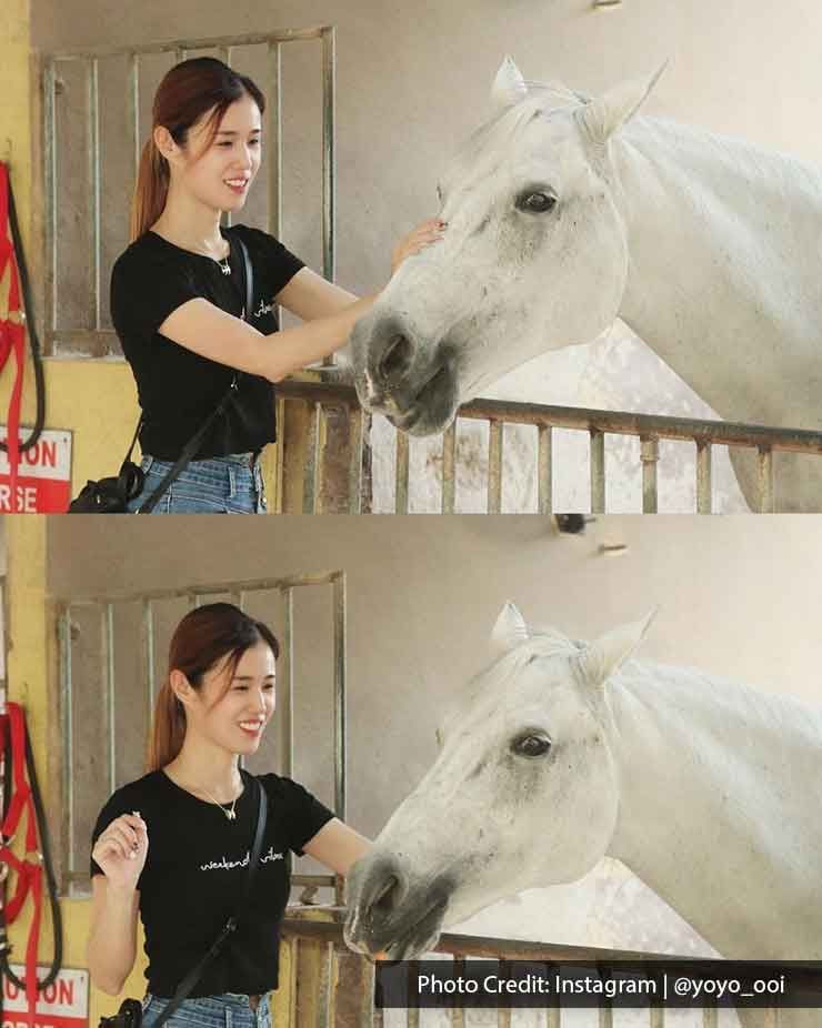 A woman was interacting with the horse at Countryside Stables in Balik Pulau - Lexis Suites Penang