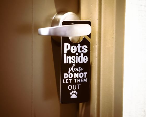 Pets Inside please do not let them out tag hangout in the door lock at Hotel 43