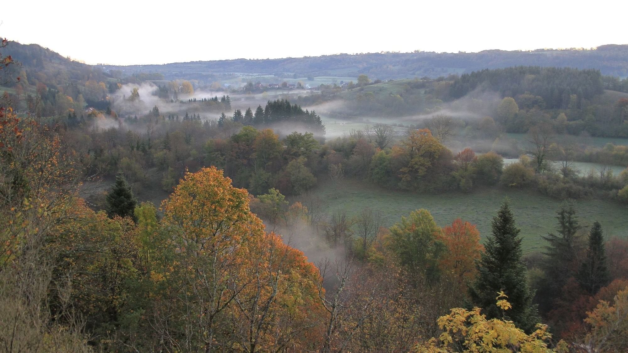 Aerial view of a forest with mist near Originals Hotels