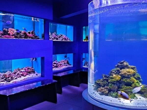 Centrul Muzeal Ecoturistic Tulcea