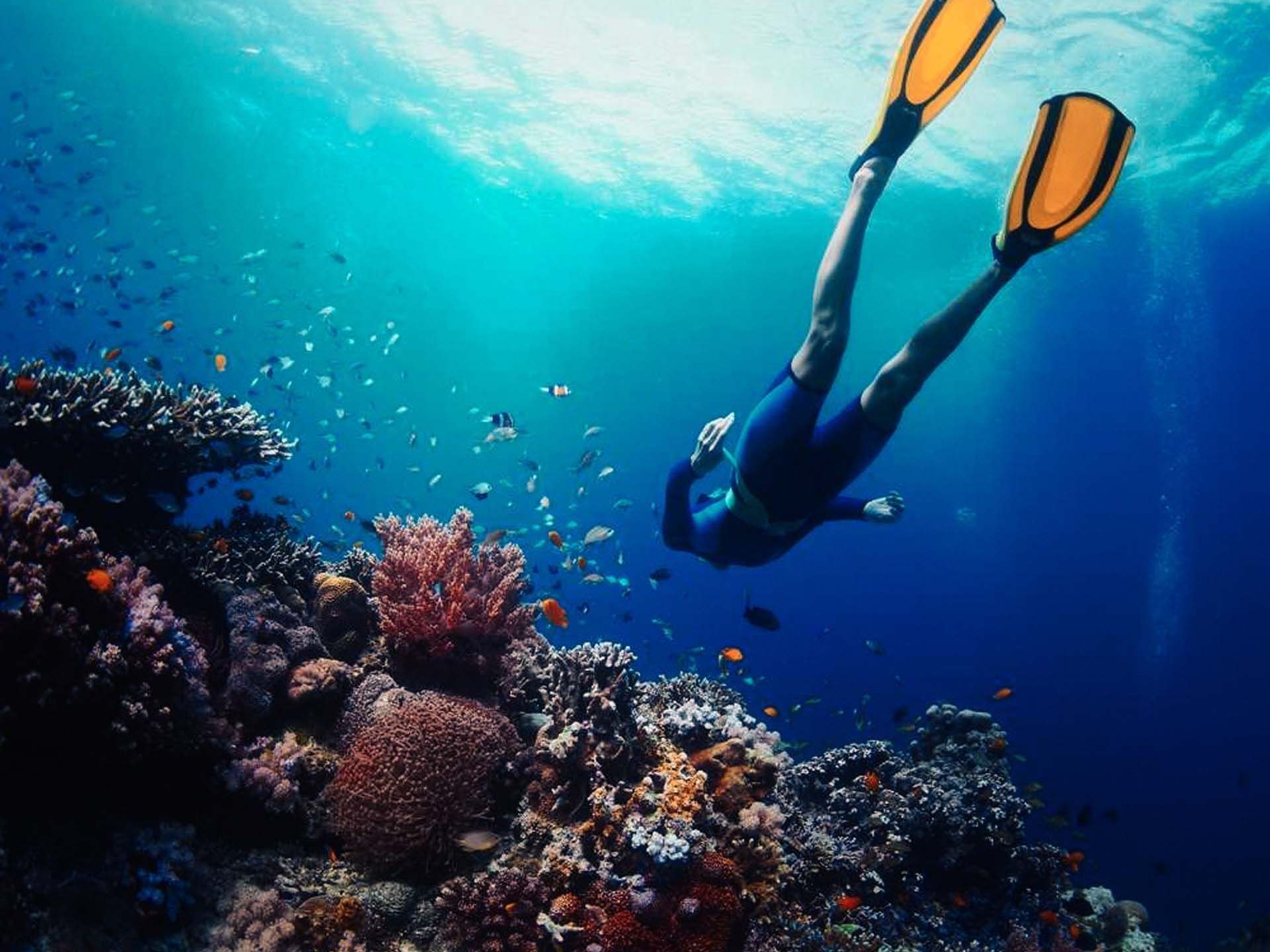 Diver gliding underwater over corals near Paradox Phuket Resort
