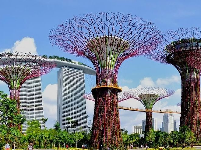 Tree shaped fountain at Singapore