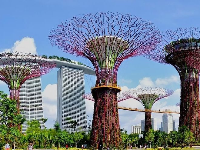 Gardens by The Bay in Singapore near One Farrer Hotel