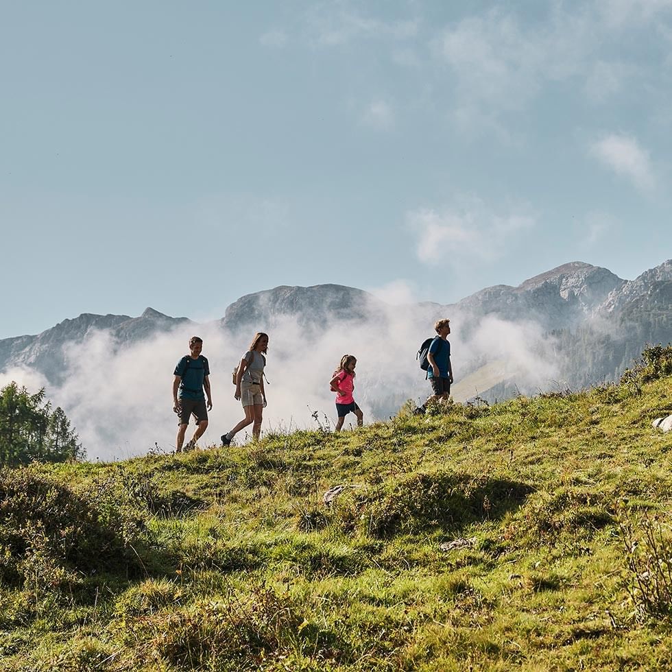 Vier Wanderer auf grünem Hang vor Bergkette und Wolkendecke.