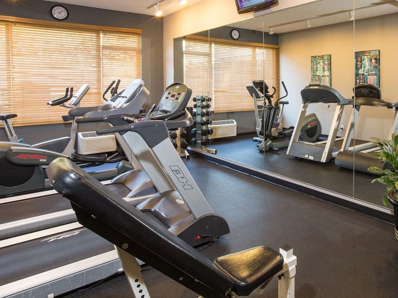 Treadmills and exercise equipment in fitness center