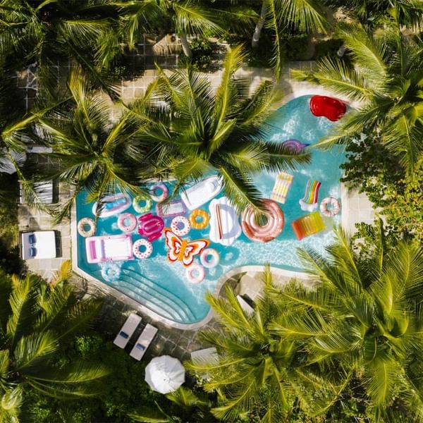 Aerial view of a tropical pool surrounded by lush greenery with pool and sun loungers at Falkensteiner Hotels & Residences