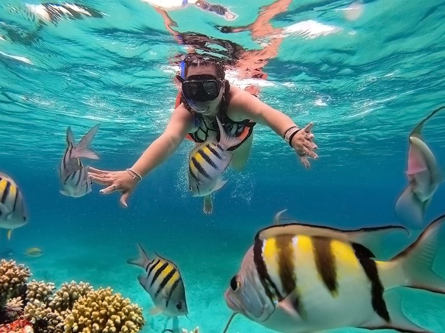 Image of a person snorkeling in the ocean surrounded by fish