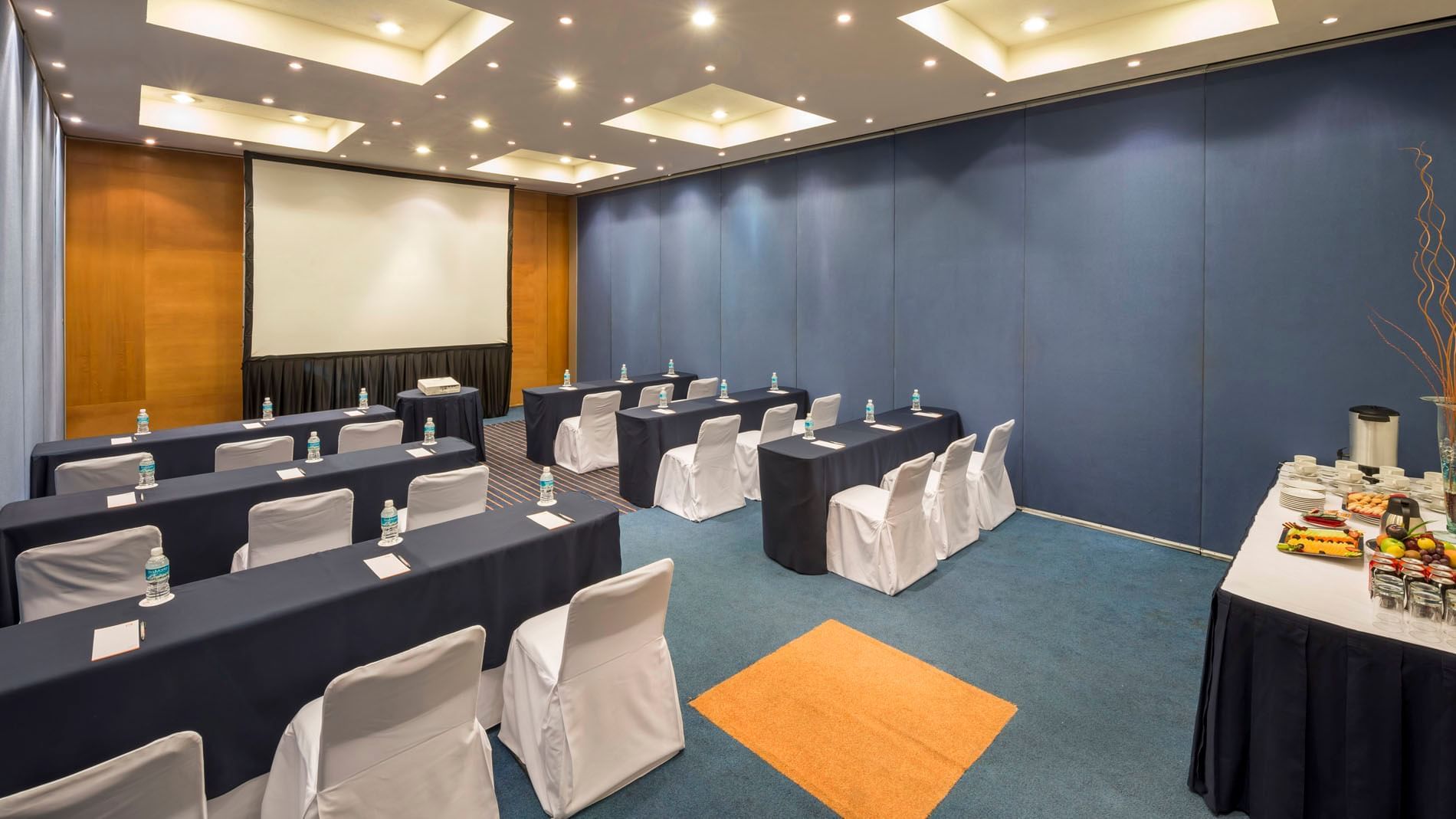 Classroom set-up with a projector screen and carpeted floors in the Berlin Venue at Real Inn San Luis Potosi