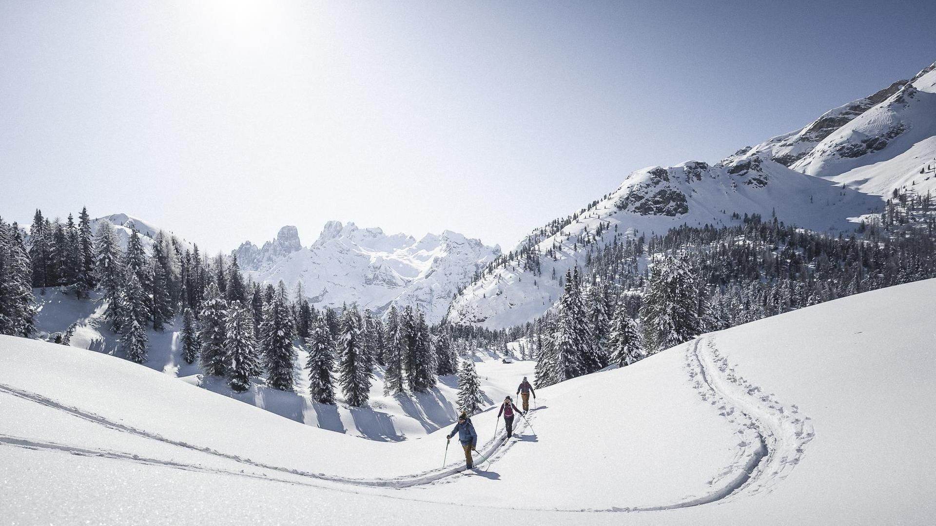 Drei Schneeschuhwanderer in verschneiter Berglandschaft mit Nadelbäumen und Gipfeln bei Falkensteiner Group