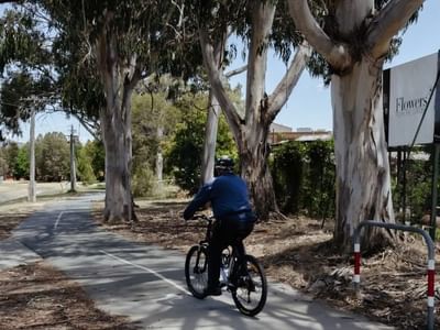 Dickson Village Apartments - Local Bikeway