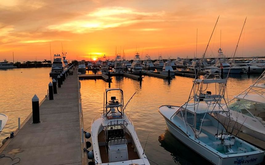 Fishing boats and yachts moored beside a long pier at a glowing sunset in Marina Pez Vela near Jungle Vista Boutique Hotel