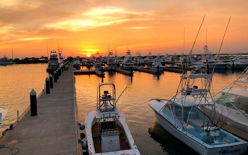 Barcos atracados en Marina Pez Vela al atardecer cerca de Jungle Vista Boutique Hotel