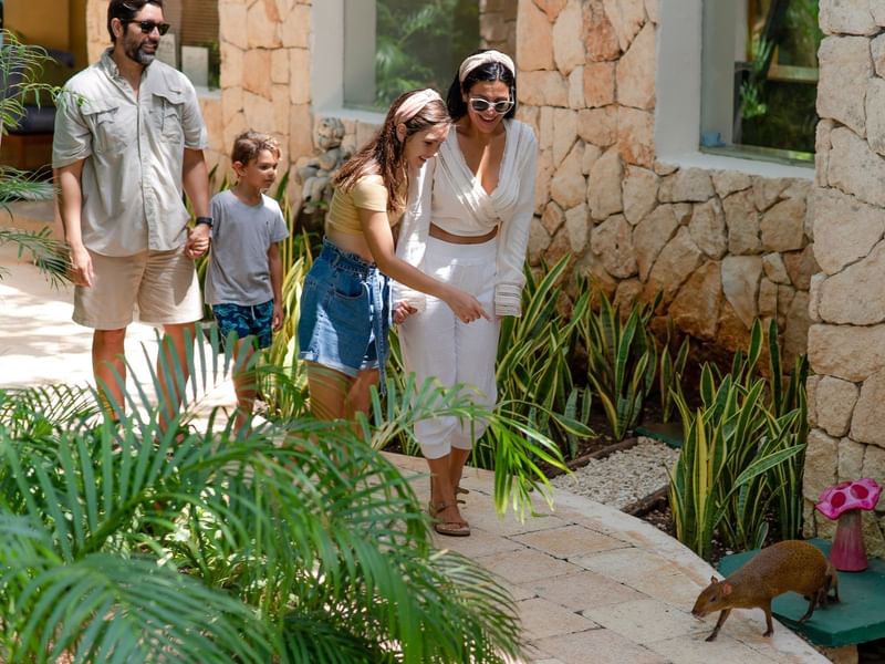 A family looking small animal an outdoor at The Reef Playacar