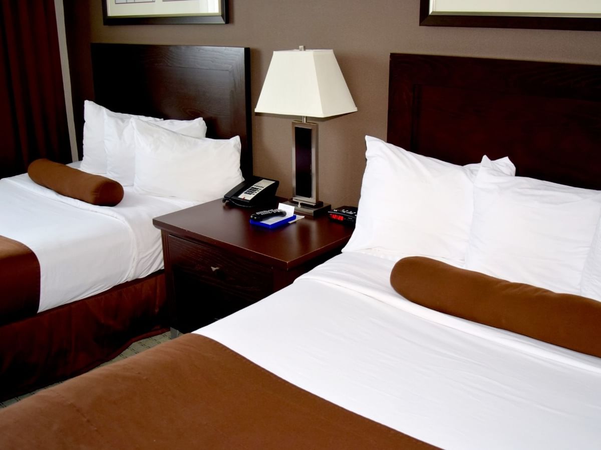 Two beds with white and brown sheets.