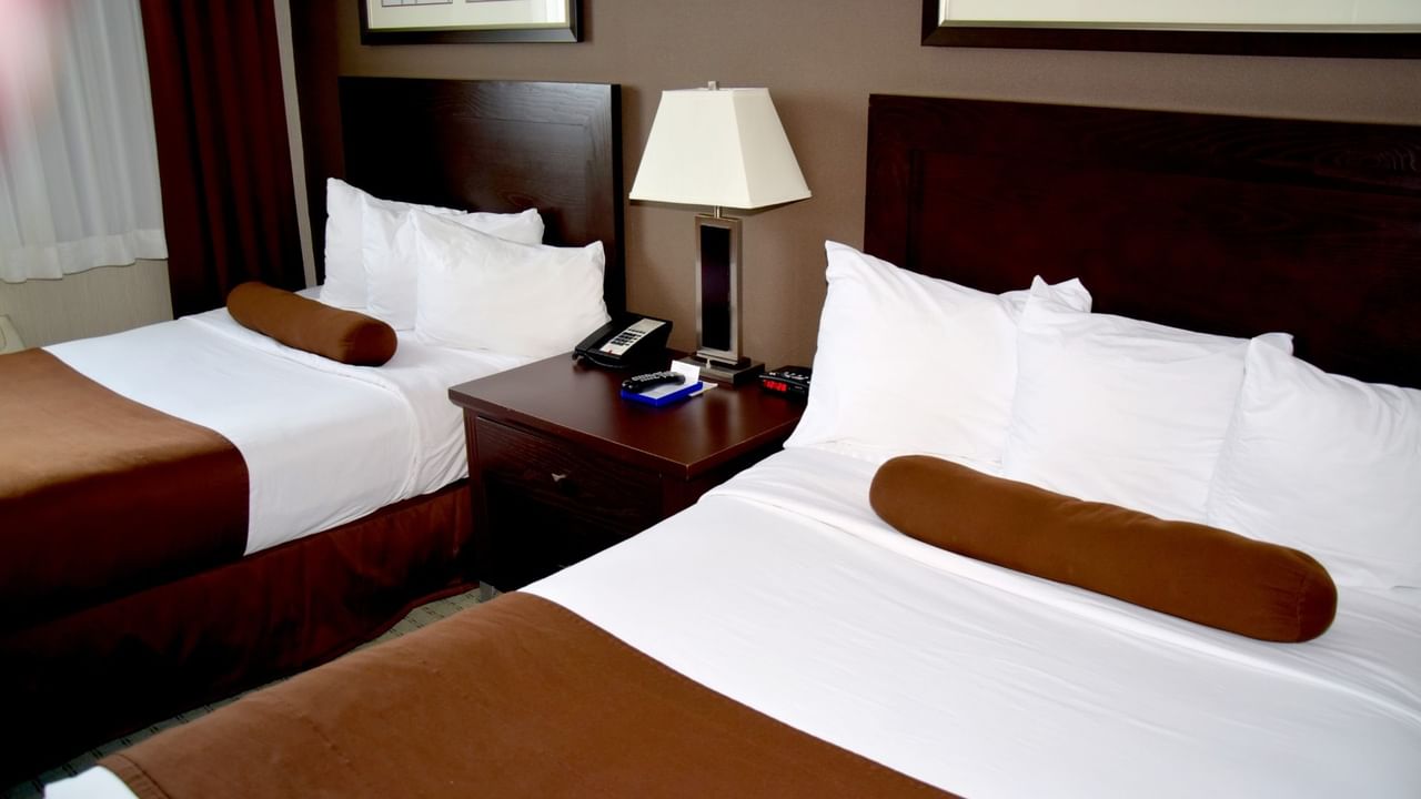 Two beds with white and brown sheets.
