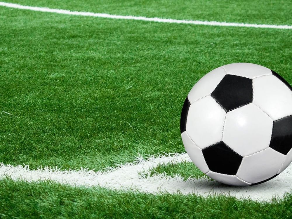 Close-up of a Football on the field near Curamoria Collection