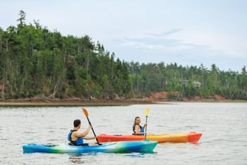 Two guests paddling colorful kayaks on calm river waters by a dense forest near Rodd Brudenell River Resort