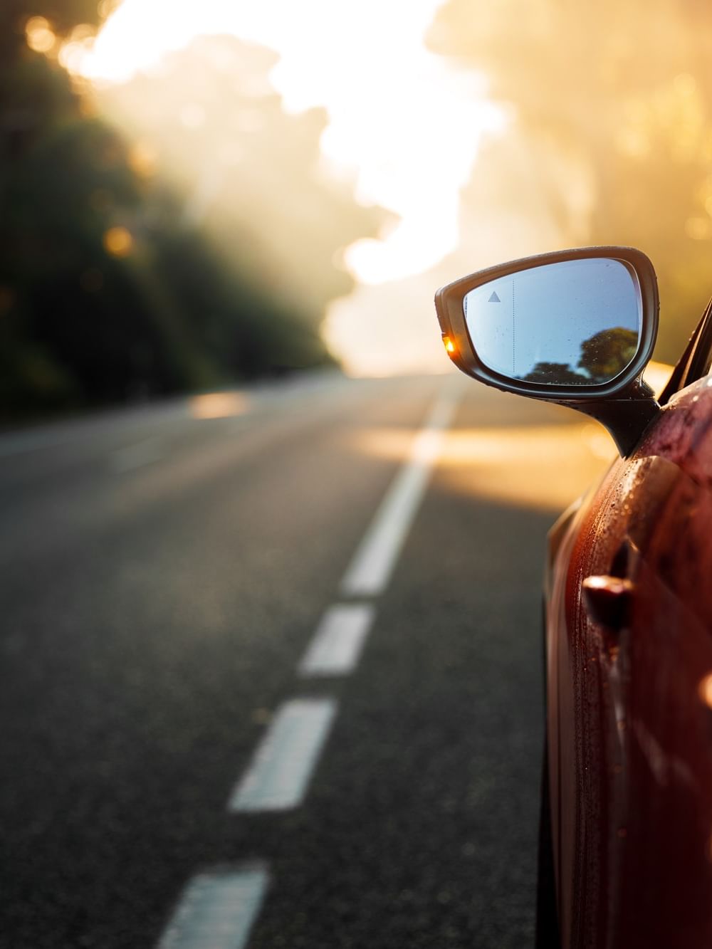 Red car side mirror by a sunlit road under a canopy of trees near Warwick San Francisco