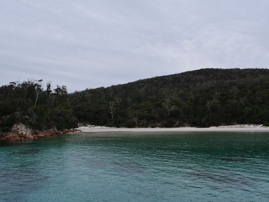 The Striking Beauty of a Wineglass Bay Cruise | News at Freycinet Lodge