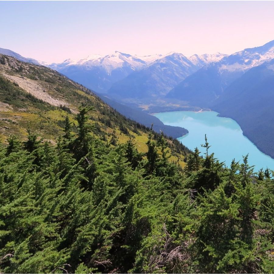 Aerial view of Cheakamus Lake with lush greenery near Blackcomb Springs Suites