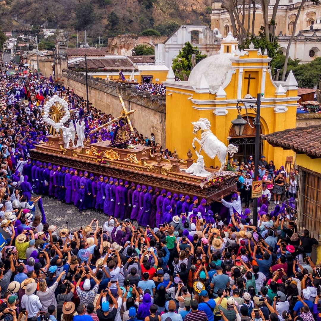 Gran multitud en una procesión religiosa con un altar dorado y un caballo blanco en un entorno urbano.