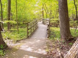 Wooden bridge by Rondeau Provincial Park near Retro Suites Hotel