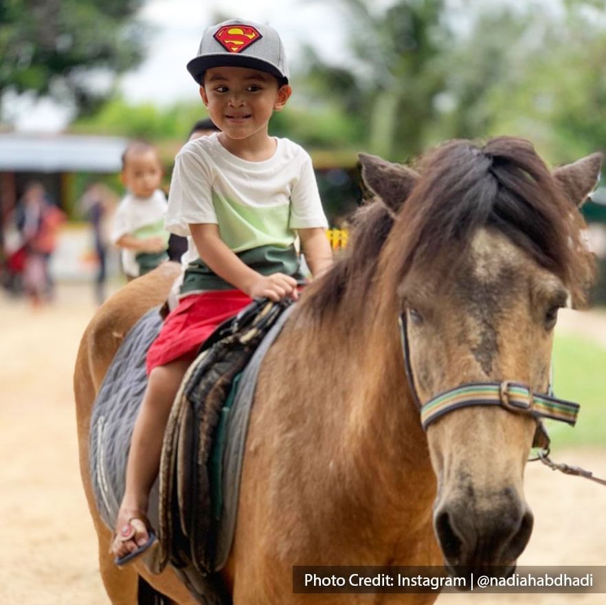 boy riding pony at pet shows farm port dickson