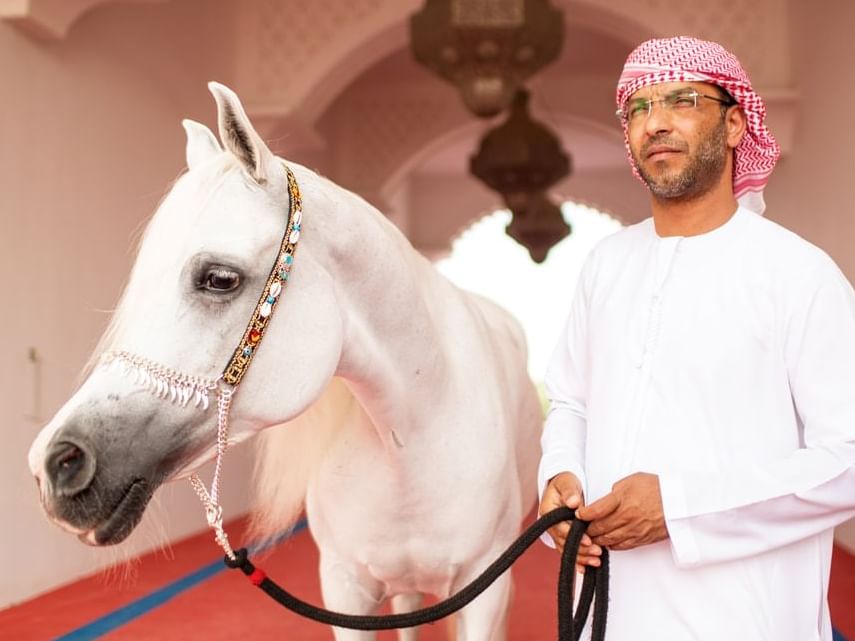 Close-up of an Arabian on a Horse at Ajman Hotel