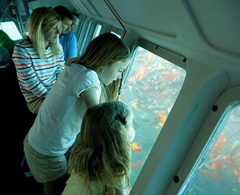 A family enjoying a large aquarium tank in a submarine near Hotel Atwater Catalina Island