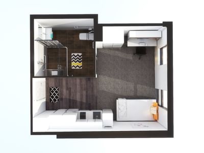 Studio Accessible Apartment