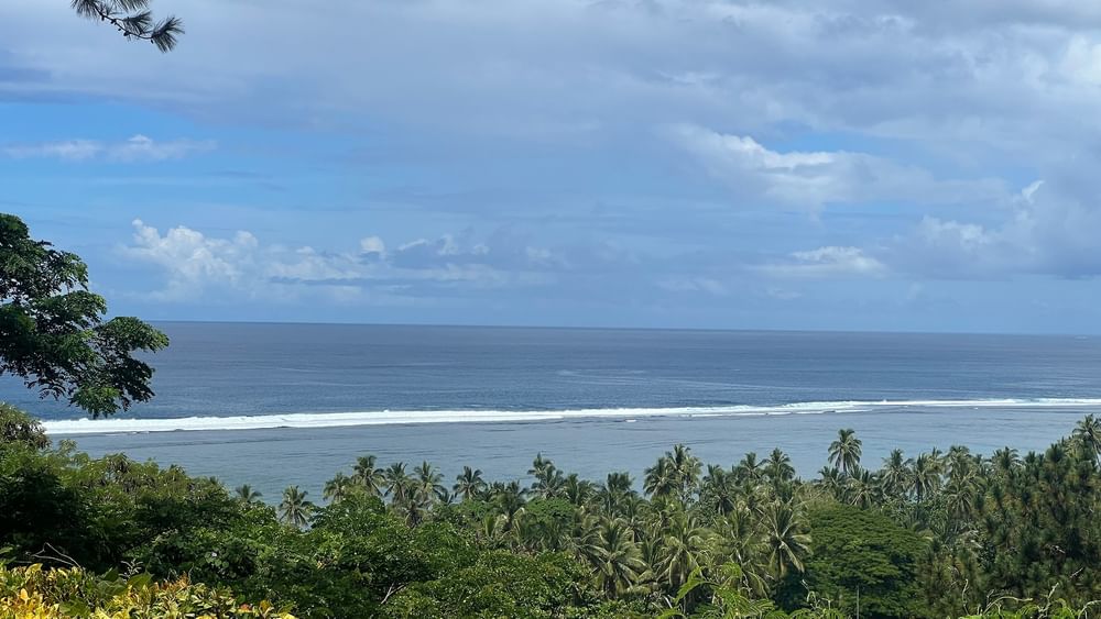 Scenic coastal view with lush vegetation and ocean waves at Tambua Sands Beach Resort in Sigatoka.