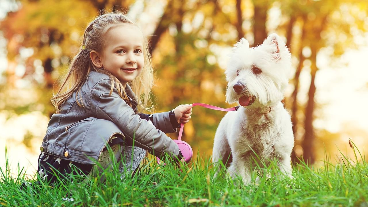 little girl with a little white dog on a leash