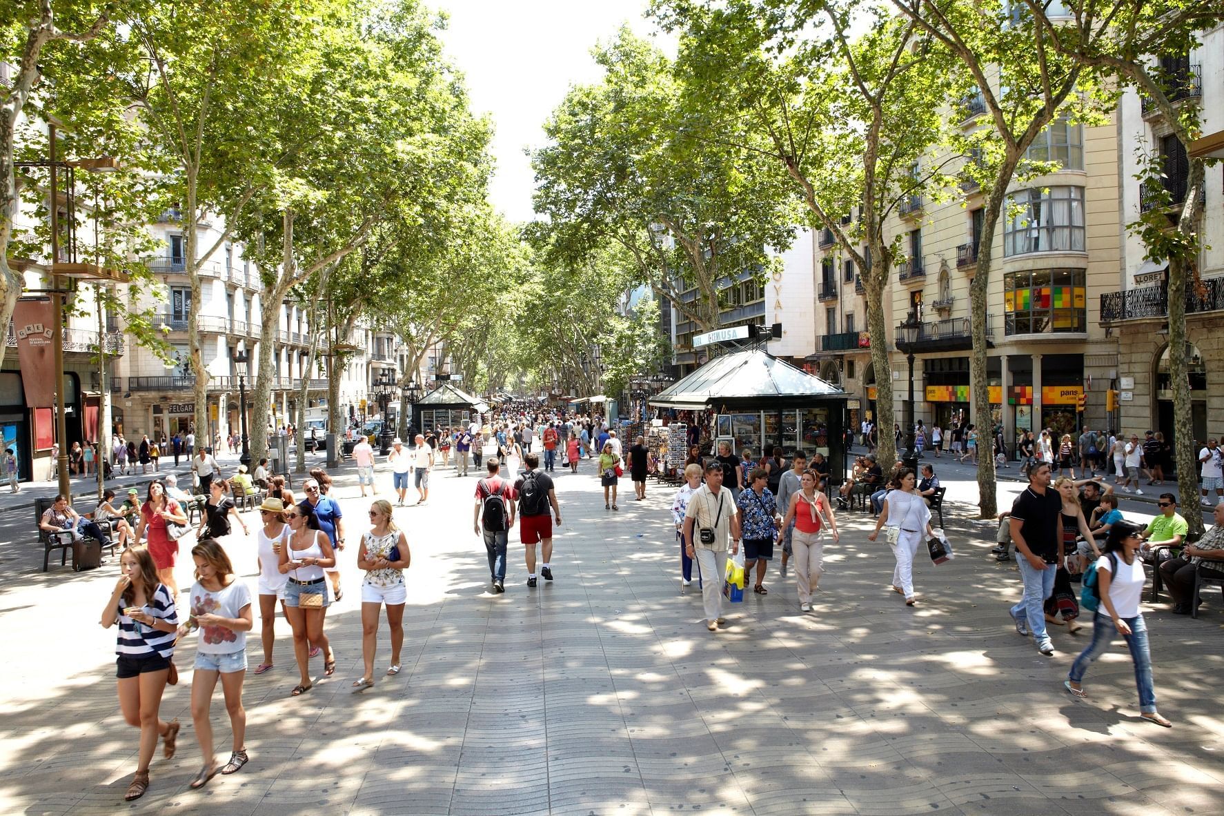 Discover LAS RAMBLAS DE BARCELONA | Barcelona Attractions